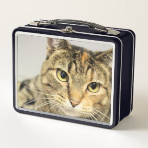 Cat Metal Lunch Box