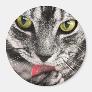 Cat Miau Magnet