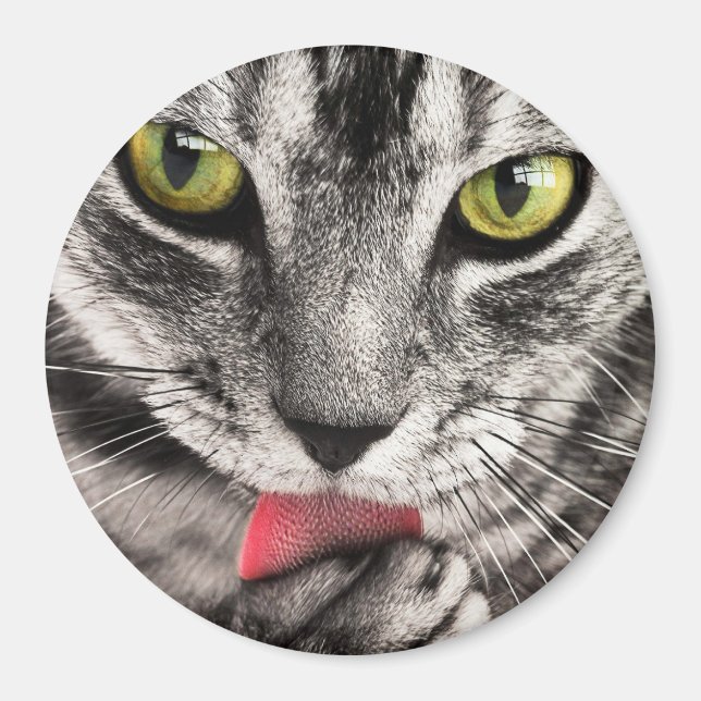 Cat Miau Magnet (Front)