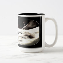 Cat Models: Luna 01-01