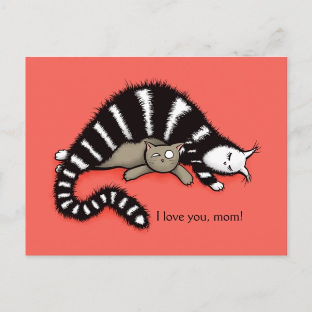 Cat Mother Protects Her Cute Kitty Love Mum Postcard (Front)