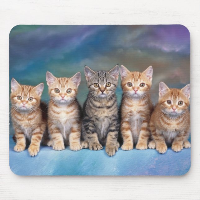 cat mouse mat (Front)