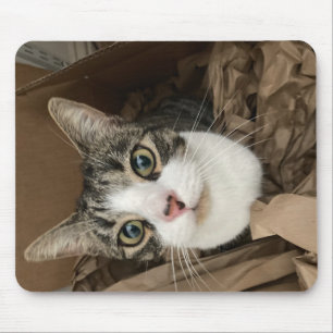 Cat Mouse Mat