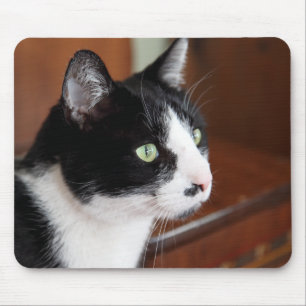 Cat Mouse Pad