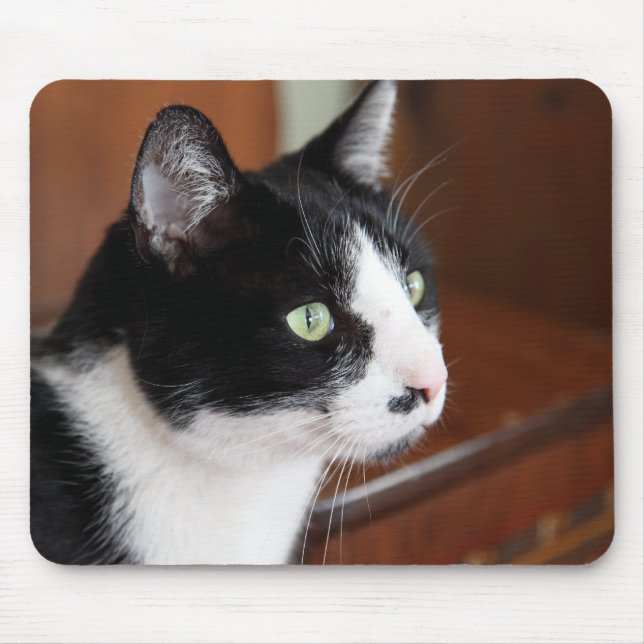 Cat Mouse Pad (Front)