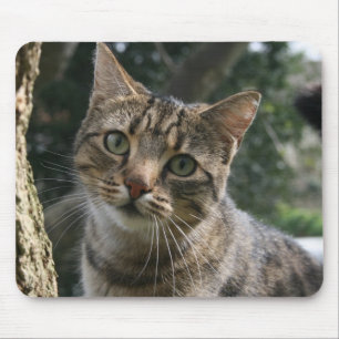 CAT MOUSE PAD
