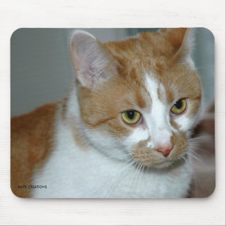CAT MOUSE PAD