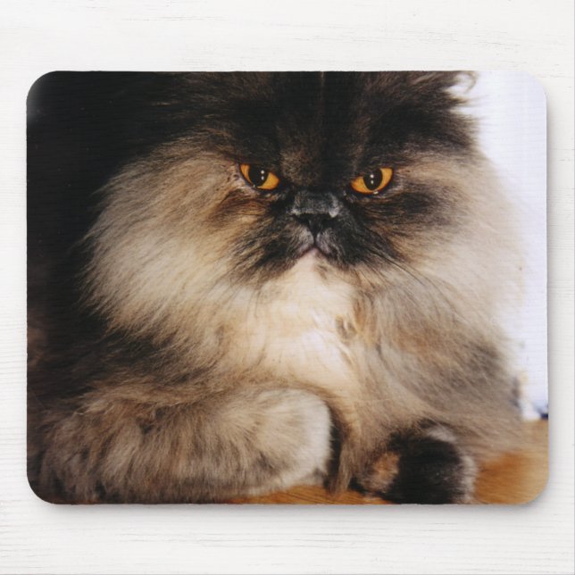 Cat Mouse Pad (Front)