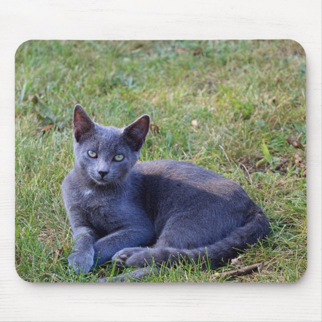 Cat Mouse Pad (Front)