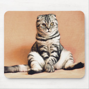 Cat Mouse Pad