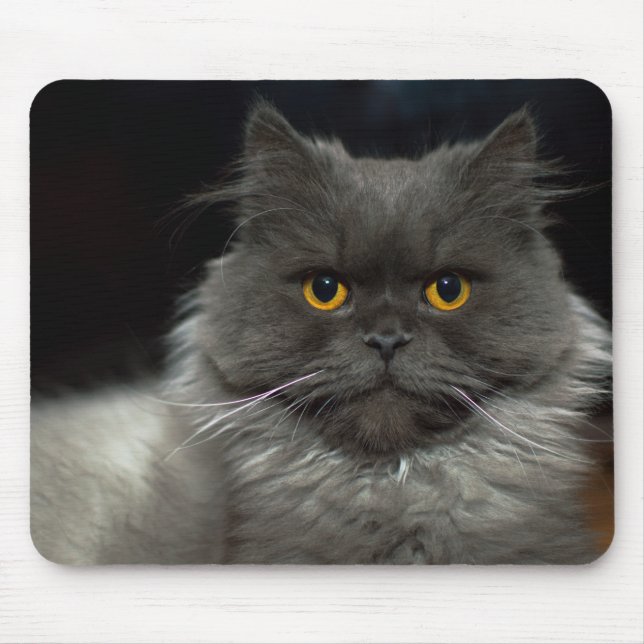 Cat Mouse Pad (Front)