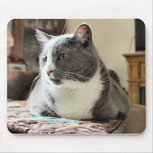 Cat Mouse Pad