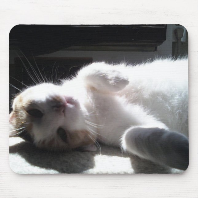 Cat Mouse Pad! Pad (Front)
