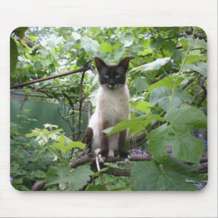Cat mousepad