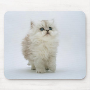 Cat Mousepad
