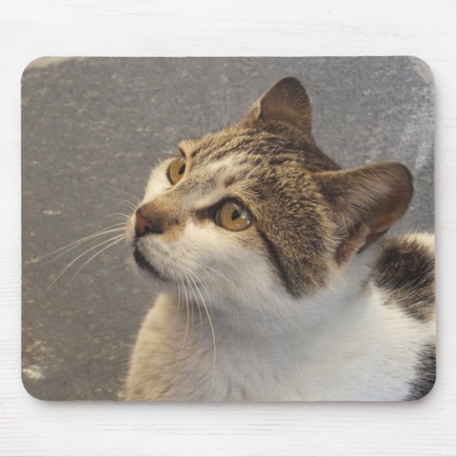 Cat mousepad (Front)