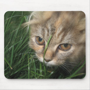 Cat Mousepad