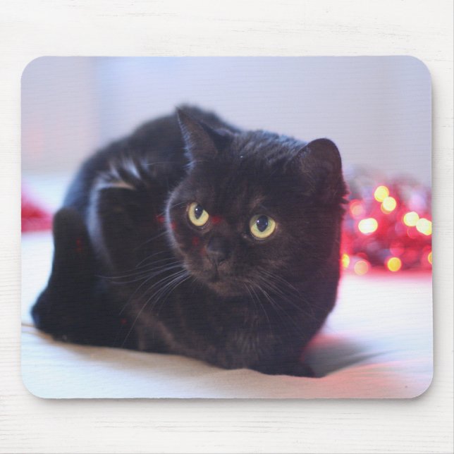 Cat Mousepad (Front)