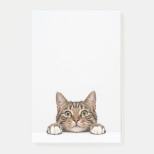 cat mum post-it notes