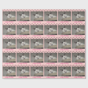 Cat Nap Birthday and Paw Prints Wrapping Paper