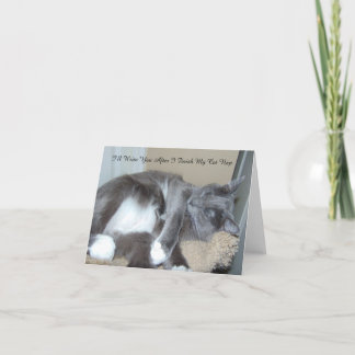 Cat Nap Card