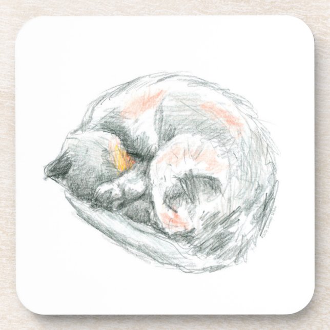 Cat Nap Coaster (Front)