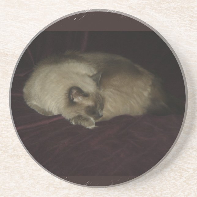 Cat nap coaster (Front)