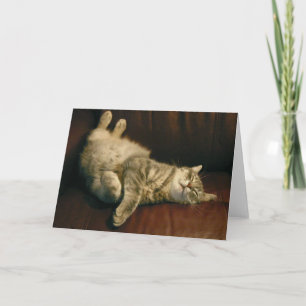 Cat nap - in the extreme card