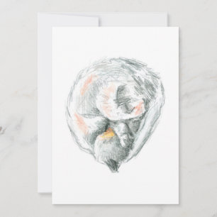 Cat Nap Invitations & Announcements