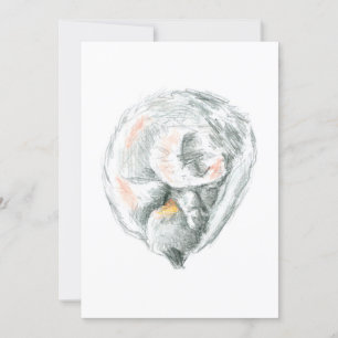 Cat Nap Invitations & Announcements