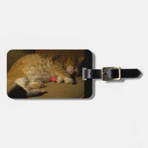 Cat Nap Luggage Tag