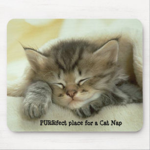 Cat Nap Mousepad