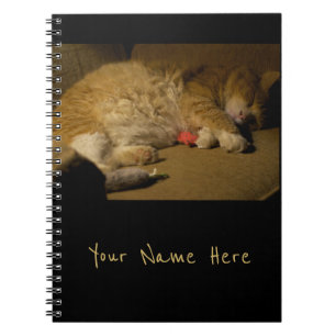 Cat Nap Notebook