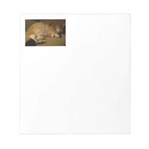 Cat Nap Notepad