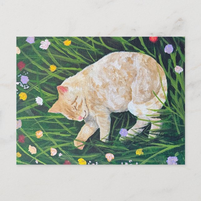 Cat Nap Postcard (Front)