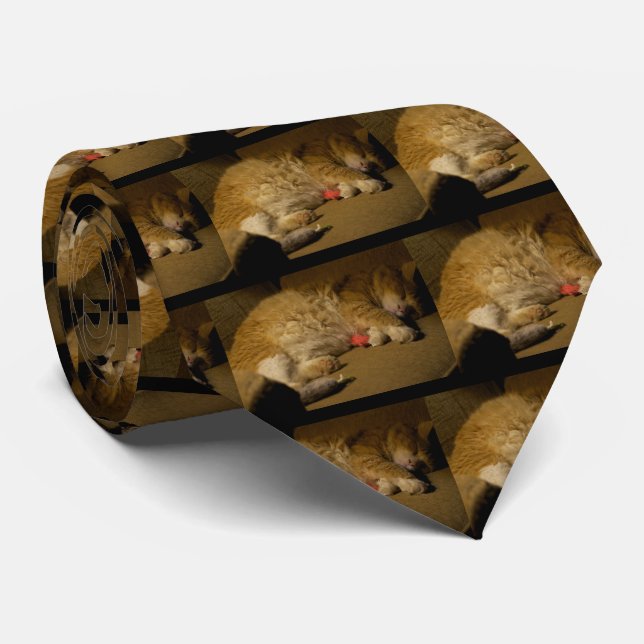 Cat Nap Tie (Rolled)