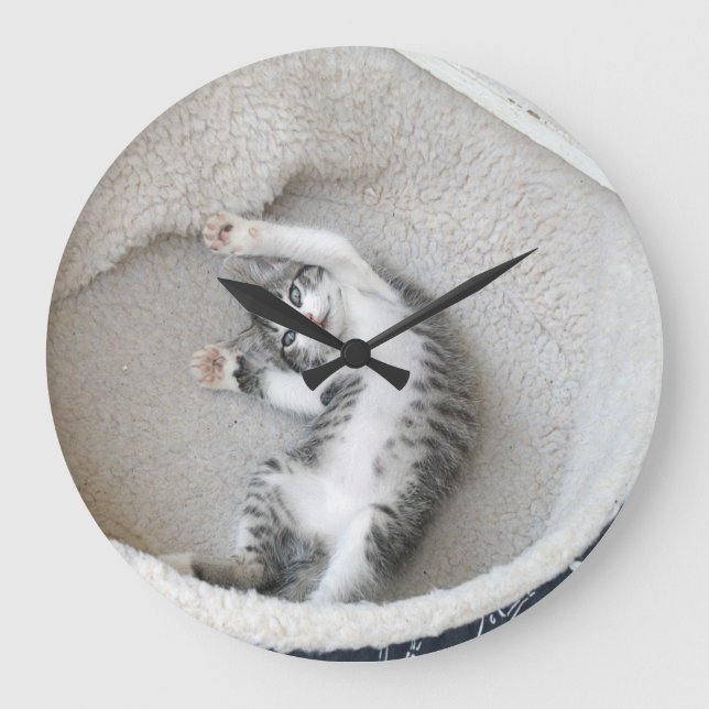 Cat Nap Wall Clock (Front)