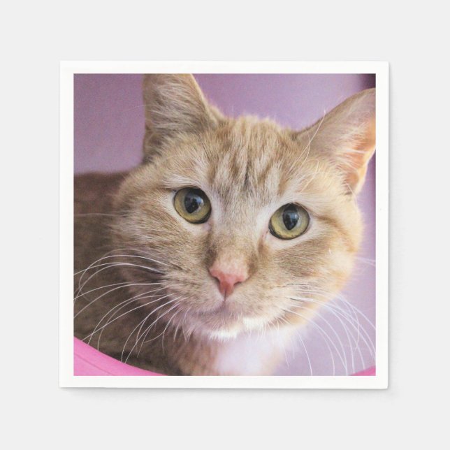 Cat Napkin (Front)