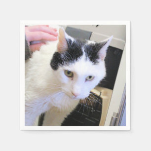 Cat Napkin