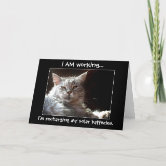 Cat napping in sunshine note or greeting card