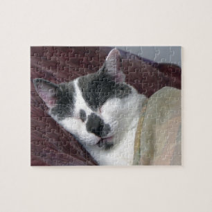Cat Napping Jigsaw Puzzle