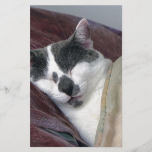 Cat Napping Stationery
