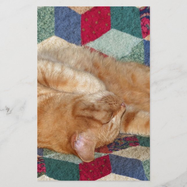 Cat Napping Stationery (Front)