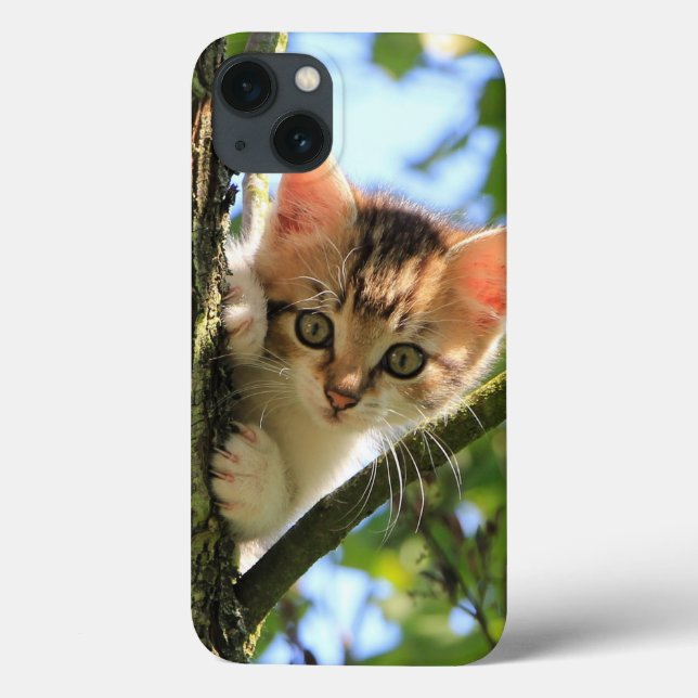 Cat, Nature, Kitten Case-Mate iPhone Case (Back)