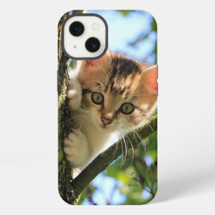 Cat, Nature, Kitten iPhone 13 Case