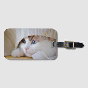 Cat, Nature, Kitten Luggage Tag