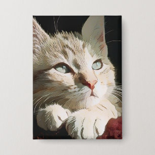 cat,nature,pet