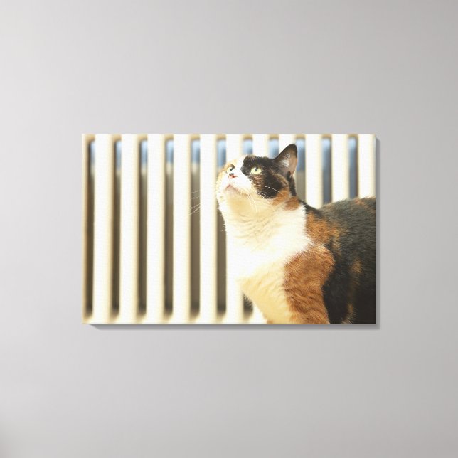 Cat next to radiator canvas print (Front)