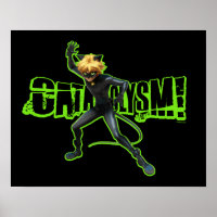 Cat Noir | Cataclysm