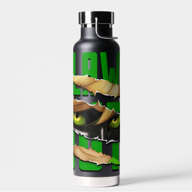 Cat Noir & Plagg | Claws Out Water Bottle (Left)